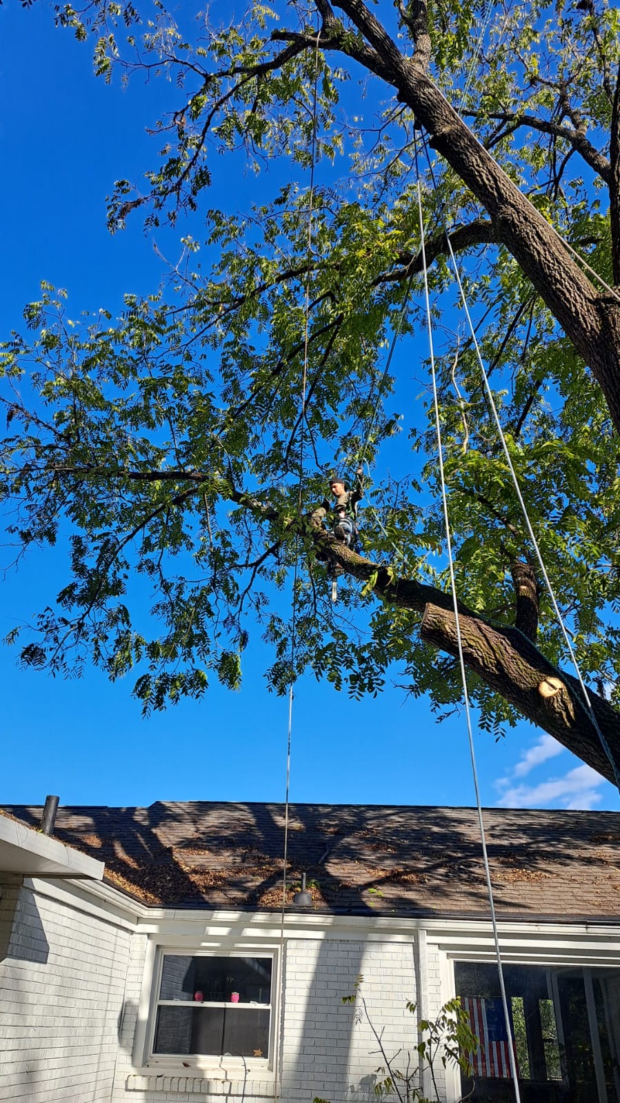 24/7 emergency tree service Nashville - storm damage response