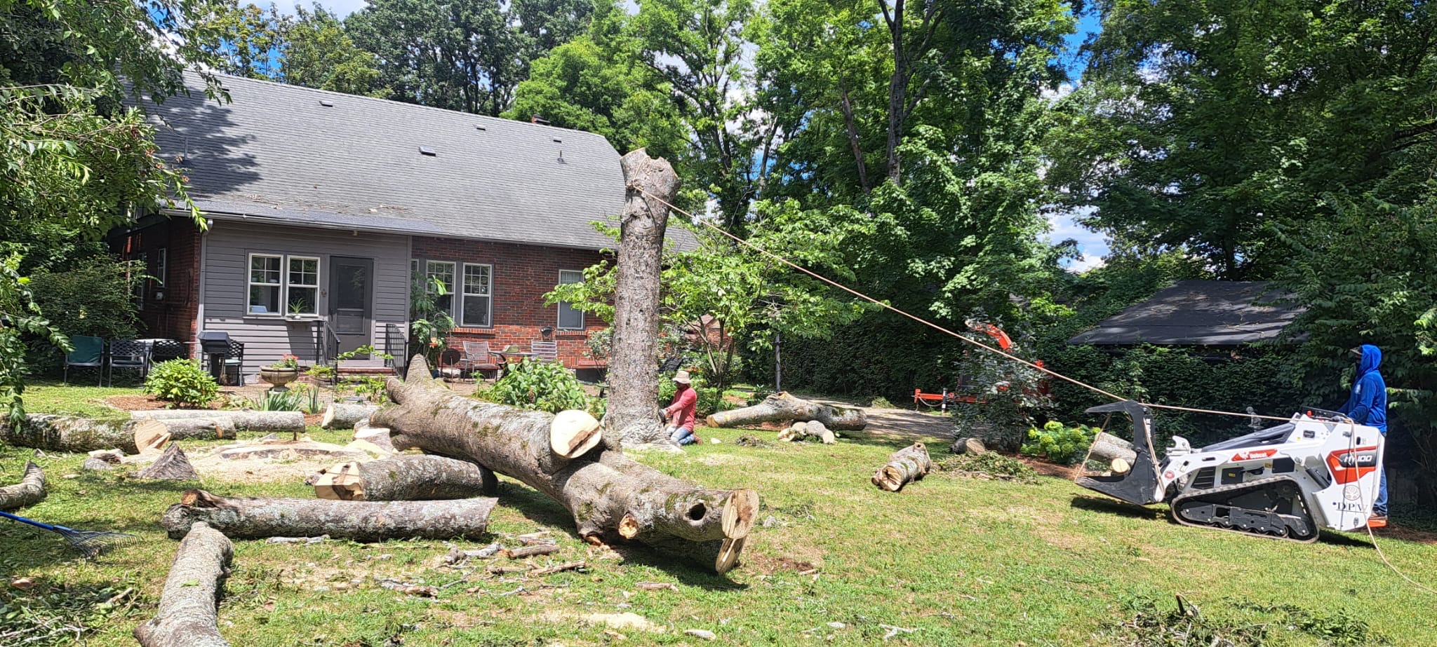 Professional tree removal service in Nashville Tennessee